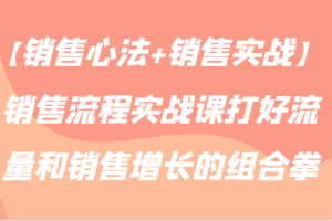 【销售心法+销售实战】销售流程实战课打好流量和销售增长的组合拳