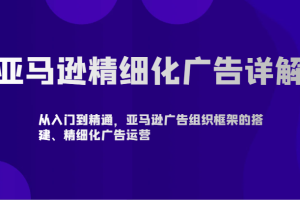 亚马逊精细化广告详解-从入门到精通，亚马逊广告组织框架的搭建、精细化广告运营