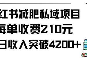 小红书减肥私域项目每单收费210元单日成交20单，最高日入4200+