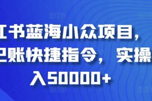 小红书蓝海小众项目，自动记账快捷指令，实操月入50000+