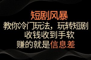 短剧风暴，教你冷门玩法，玩转短剧，收钱收到手软