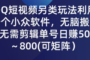 QQ短视频另类玩法，利用一个小众软件，无脑搬运，无需剪辑单号日赚500～…