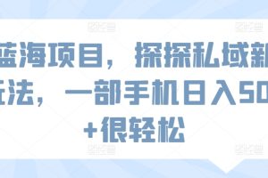 蓝海项目，探探私域新玩法，一部手机日入500+很轻松