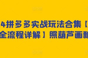 2024拼多多实战玩法合集【0-1全流程详解】照葫芦画瓢