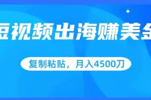 短视频出海赚美金，复制粘贴批量操作，小白轻松掌握，月入4500美刀