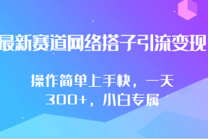 最新赛道网络搭子引流变现!!操作简单上手快，一天300+，小白专属