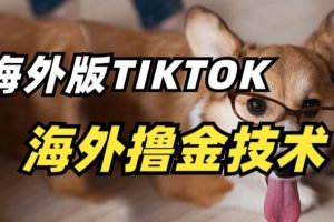 抖音海外版tiktok撸金技术，这个风口行业，赚钱真的不难