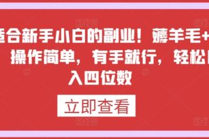 最适合新手小白的副业！薅羊毛+躺赚，操作简单，有手就行，轻松日入四位数