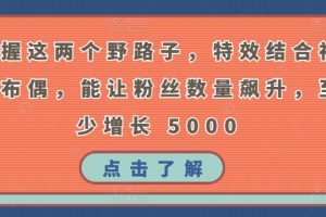 掌握这两个野路子，特效结合神奇布偶，能让粉丝数量飙升，至少增长 5000