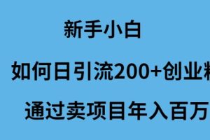 新手小白如何日引流200+创业粉通过卖项目年入百万