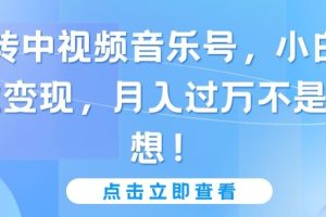 玩转中视频音乐号，小白副业变现，月入过万不是幻想