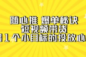 随心推 爆单秘诀，短视频带货-超1个小目标的投放心得（7节视频课）