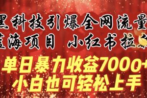 蓝海项目!黑科技引爆全网流量小红书拉新，单日暴力收益7000+，小白也能轻松上手