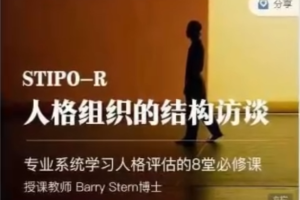 人格组织的结构访谈STIPO,专业系统学习人格评估的8堂必修课