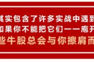 「李晓光」李晓光老师 庖丁解牛视频课程37集