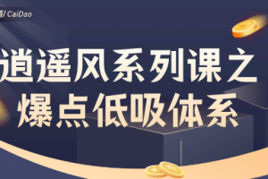 「极道」 作手逍遥风逍遥风系列课之爆点低吸体系 极道交易风系列课