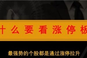 「李晓光」李晓光老师涨停板定向终极视频课程18集