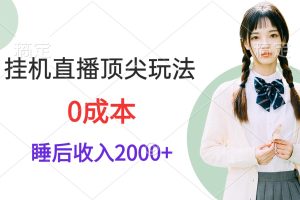 挂机直播顶尖玩法，睡后日收入2000+、0成本，视频教学