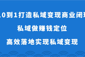 从0到1打造私域变现商业闭环-私域做赚钱定位，高效落地实现私域变现