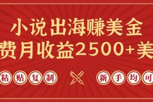 小说出海赚美金，稿费月收益2500+美金，仅需chatgpt粘贴复制，新手也能玩转