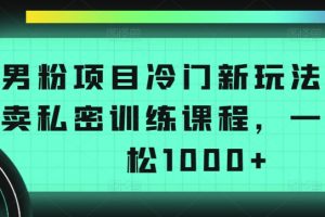 男粉项目冷门新玩法，售卖私密训练课程，一天轻松1000+