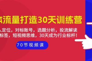 实体-流量打造-30天训练营：个人定位，对标账号，选题分析，投流解读-70节