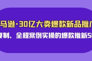 亚马逊30亿大卖爆款新品推广，可复制、全程案例实操的爆款推新SOP