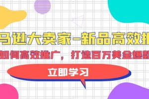 亚马逊 大卖家-新品高效推广，分享如何高效推广，打造百万美金爆款单品