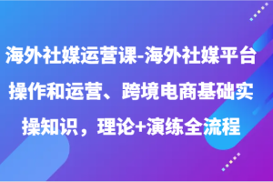 海外社媒运营课-海外社媒平台操作和运营、跨境电商基础实操知识，理论+演练全流程