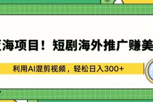 蓝海项目!短剧海外推广赚美金，利用AI混剪视频，轻松日入300+