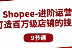 Shopee-进阶运营：打造百万级店铺的技巧（9节课）