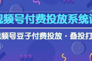 视频号付费投放系统果，视频号豆子付费投放·叠投打法（高清视频课）