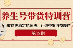 养生号带货特训营【12期】收益更稳定的玩法，让你带货收益爆炸-9节直播课