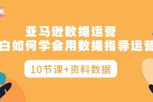 亚马逊数据运营，小白如何学会用数据指导运营（10节课+资料数据）