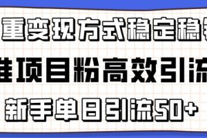 精准项目粉高效引流术，新手单日引流50+，多重变现方式稳定赚钱