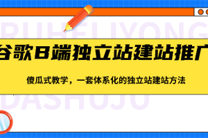 谷歌B端独立站建站推广，傻瓜式教学，一套体系化的独立站建站方法（83节）