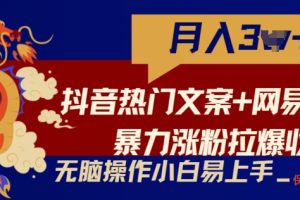 抖音热门文案+网易云截图暴力涨粉拉爆收益玩法，小白无脑操作，简单易上手