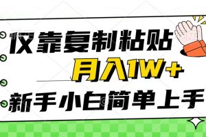 仅靠复制粘贴，被动收益，轻松月入1w+，新手小白秒上手，互联网风口项目