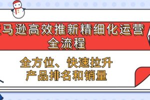 亚马逊高效推新精细化运营全流程，全方位、快速 拉升产品排名和销量