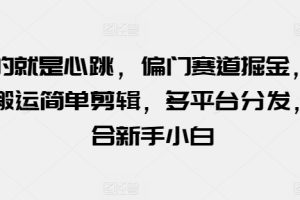 玩的就是心跳，偏门赛道掘金，视频搬运简单剪辑，多平台分发，适合新手小白