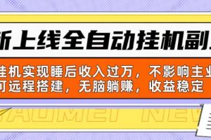 新上线全自动挂机副业：靠挂机实现睡后收入过万，不影响主业可远程搭建…