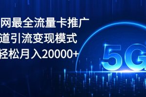 2024全网最全流量卡推广多渠道引流变现模式，小白轻松月入20000+