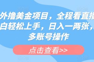 海外撸美金项目，全程看直播，小白轻松上手，日入一两张，可多账号操作