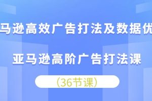 亚马逊高效广告打法及数据优化，亚马逊高阶广告打法课（36节）