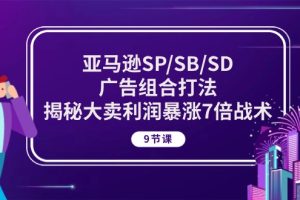亚马逊SP/SB/SD广告组合打法，揭秘大卖利润暴涨7倍战术 (9节课)