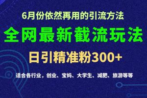 2024全网最新截留玩法，每日引流突破300+