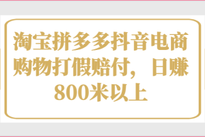 淘宝拼多多抖音电商购物打假赔付，日赚800米以上