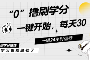 最新刷学分0撸项目，一键运行，每天单机收益20-30，可无限放大，当日即…