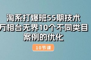 淘系打爆班55期技术：万相台无界10个不同类目案例的优化（10节）