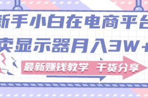 新手小白如何做到在电商平台卖显示器月入3W+，最新赚钱教学干货分享